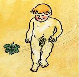 Albania cartoon, juicy fruit