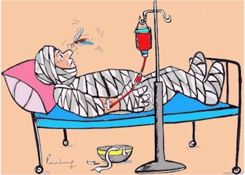 India cartoon, mosquito