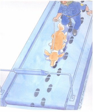 Indonesia cartoon, police track footprints