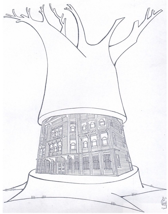 Turkey cartoons, woods house